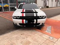 Gebraucht Dodge Challenger SXT 306 PS (225 kW) 2020 Weiß Coupé