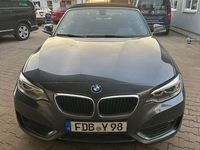 Gebraucht BMW 228 Advantage 245 PS (180 kW) 2015 Grau Cabrio