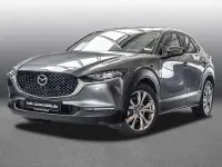 Gebraucht Mazda CX-30 Selection 180 PS (132 kW) 2019 Grau SUV