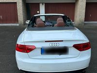 Gebraucht Audi A5 Cabriolet S-Line 179 PS (131 kW) 2010 Weiß Cabrio
