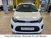 Gebraucht Kia Picanto Vision 67 PS (49 kW) 2024 Weiß Kleinwagen