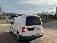 Gebraucht VW Caddy Maxi 105 PS (77 kW) 2009 Weiß Van / Kleinbus
