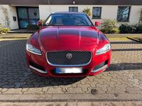 Gebraucht Jaguar XF Sportbrake 300 PS (220 kW) 2019 Rot Kombi