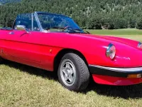 Gebraucht Alfa Romeo Spider 103 PS (75 kW) 1984 Rot Cabrio