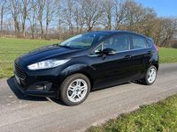 Gebraucht Ford Fiesta Titanium 82 PS (60 kW) 2013 Schwarz Kleinwagen