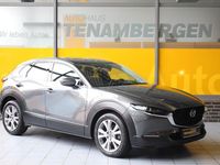 Gebraucht Mazda CX-30 Selection 150 PS (110 kW) 2021 Grau SUV