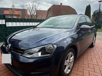 gebraucht VW Golf VII 