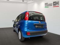 Neu Fiat Panda Icon 69 PS (50 kW) 2026 Italiablau, dach schwarz Kleinwagen