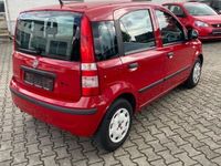 gebraucht Fiat Panda 1.2 8V Classic Allwetter 2.Hand,Wenig Km