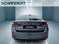 Gebraucht Skoda Octavia Ambition 116 PS (85 kW) 2023 Grau Limousine