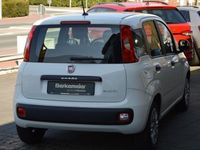 Gebraucht Fiat Panda Urban 69 PS (50 kW) 2020 Weiß Kleinwagen