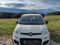 Gebraucht Fiat Panda Easy 69 PS (50 kW) 2019 Weiß Kleinwagen