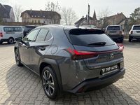 Gebraucht Lexus UX 250h 184 PS (135 kW) 2024 Grau SUV
