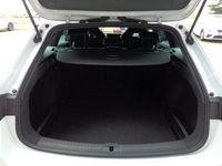 Gebraucht Cupra Leon 150 PS (110 kW) 2023 Weiß Limousine