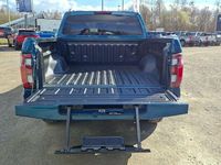 Neu Foton 4 163 PS (119 kW) 2026 Grün SUV