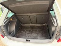 Gebraucht Skoda Rapid Clever 110 PS (80 kW) 2019 Weiß Kleinwagen