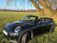 Gebraucht Mini Cooper Cabriolet Classic 136 PS (100 kW) 2023 Schwarz Cabrio
