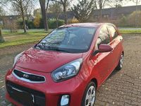 Gebraucht Kia Picanto 67 PS (49 kW) 2017 Rot Kleinwagen