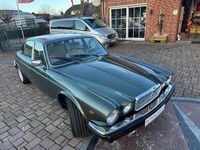 Gebraucht Jaguar XJ 269 PS (197 kW) 1983 Sarge green Limousine