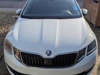 Gebraucht Skoda Octavia Clever 150 PS (110 kW) 2019 Weiß Kombi