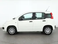 Neu Fiat Panda Connect 71 PS (52 kW) 2025 Gelatoweiss Kleinwagen