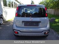 gebraucht Fiat Panda Cross 1.2 Start/Stop - 1.Hd./23 TKM