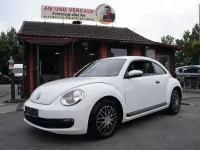 Gebraucht VW Beetle Basis 105 PS (77 kW) 2014 Weiß Kleinwagen