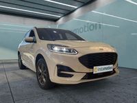 Gebraucht Ford Kuga ST-Line X 224 PS (164 kW) 2023 Weiß SUV