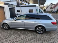Gebraucht Mercedes E250 Avantgarde 211 PS (155 kW) 2013 Grau Kombi