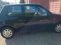 Gebraucht VW Lupo Conceptline 75 PS (55 kW) 2001 Kleinwagen