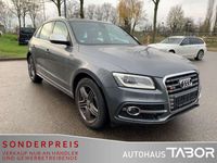 gebraucht Audi SQ5 3.0 TDI quattro 1. Hand Pano MMI+ ACC B&O