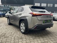 gebraucht Lexus UX 250h (Facelift) Executive Line