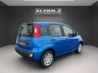 Neu Fiat Panda Icon 65 PS (47 kW) 2025 Blau Limousine