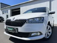 Gebraucht Skoda Fabia Cool Plus 60 PS (44 kW) 2021 Candyweiss Kleinwagen