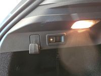 Neu Skoda Scala Selection 116 PS (85 kW) 2025 Stahlgrau Kleinwagen