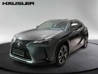 Gebraucht Lexus UX 2023 Grau SUV