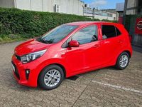 Gebraucht Kia Picanto Vision 67 PS (49 kW) 2022 (a2r) shiny red met. Kleinwagen