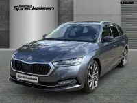 Gebraucht Skoda Octavia Style 150 PS (110 kW) 2021 Grau Kombi
