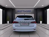 Gebraucht Skoda Octavia Style 116 PS (85 kW) 2023 Candyweiss Kombi