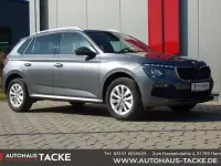 Gebraucht Skoda Kamiq Selection 116 PS (85 kW) 2025 Grau SUV