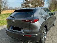 gebraucht Mazda CX-30 SKY-Na VC X, Des-P, Act-P,Bose,Leder,Garantie