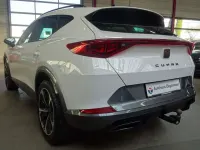 Gebraucht Cupra Formentor 150 PS (110 kW) 2024 Weiß SUV