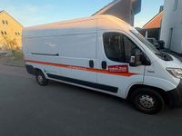Second-hand Fiat Ducato 2019 Alb Van