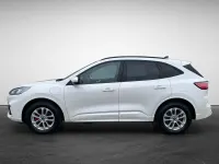 Gebraucht Ford Kuga ST-Line 152 PS (111 kW) 2023 Weiß SUV