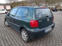 Gebraucht VW Polo 50 PS (36 kW) 2002 Grün Kleinwagen