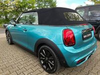 gebraucht Mini Cooper S Cabriolet Wired Chili LED Harman/Kardon 17