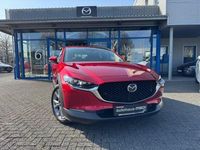 Gebraucht Mazda CX-30 Selection 122 PS (89 kW) 2020 Rot SUV