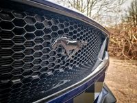 gebraucht Ford Mustang GT 5.0 Recaro 55 Jahre Edition