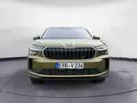 Gebraucht Skoda Kodiaq Selection 193 PS (141 kW) 2024 Gold SUV