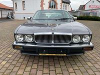 gebraucht Jaguar XJ40 Leder Klima H-Kennz Top Gepflegt